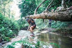 BIB: 
                            <button type="button" onclick="openModal(25439374)" class="btn btn-primary btn-sm float-right btn-popup" data-toggle="modal" data-target=".modal-high-quality">
                        <i class="fas fa-shopping-cart"></i> Add to Cart
                    </button>
                                            <button type="button" onclick="isThisMe(25439374, true)" class="btn btn-success btn-sm float-right btn-popup btn-isme hidden" data-toggle="tooltip" data-placement="bottom" title="นี่คือรูปของคุณใช่ไหม คลิกที่นี่เพื่อเอาเข้าอัลบั้ม">
                        <i class="fas fa-plus"></i> Add to album
                    </button>
                    <button type="button" onclick="isThisMe(25439374, false)" class="btn btn-warning btn-sm float-right btn-popup btn-isnotme hidden">
                        <i class="fas fa-ban"></i> Remove from album
                    </button>